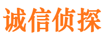 白塔调查公司